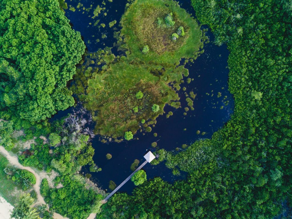 Les Salines de Rémire Montjoly