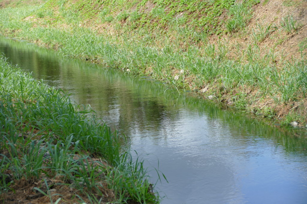 Une fois purifiée, l'eau peut être rejeté dans la nature