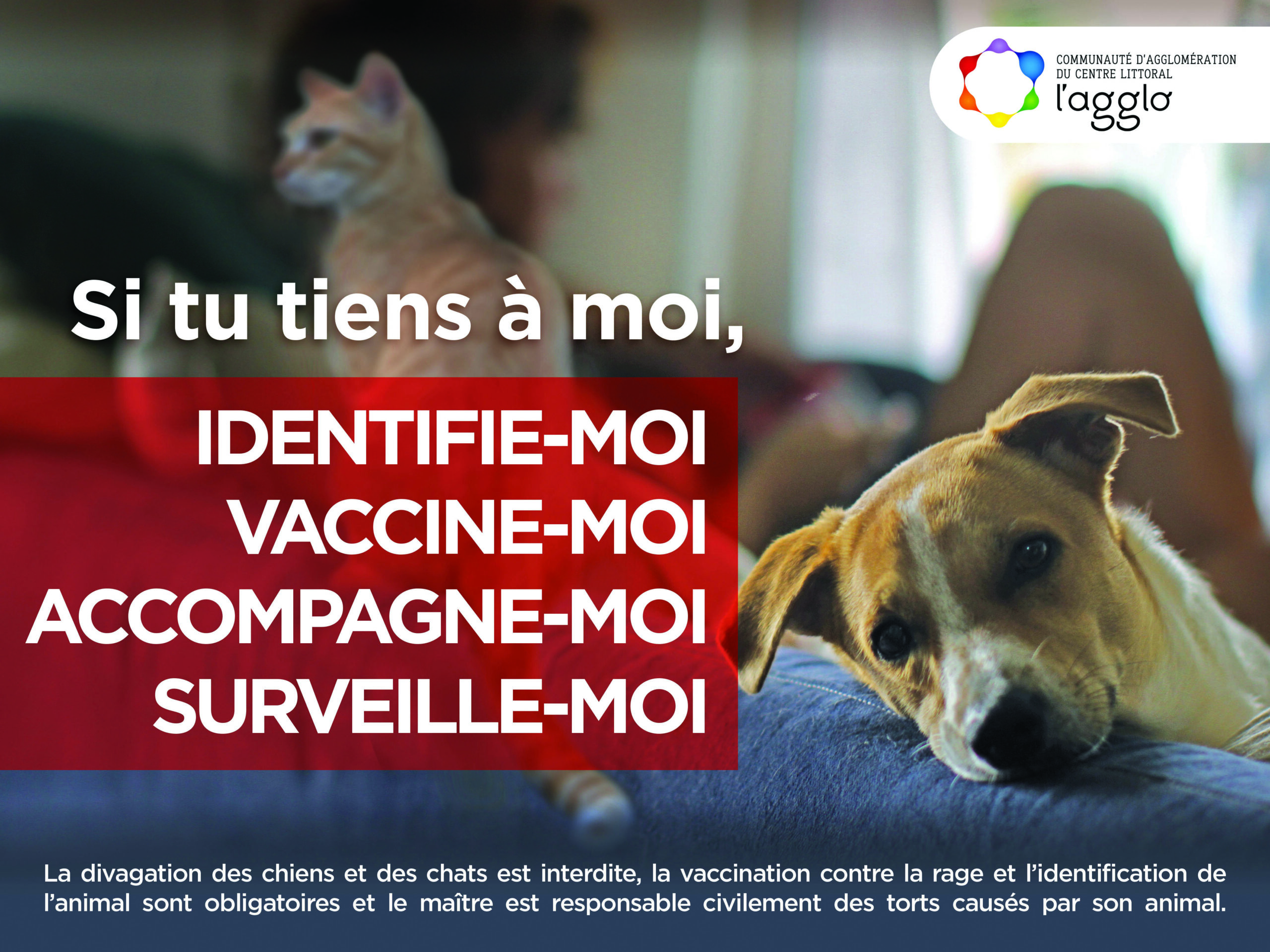 ED - 4x3 CAMPAGNE SI TU TIENS A MOI et animaux DIVAG5-1 ED - 4x3 CAMPAGNE SI TU TIENS A MOI et animaux DIVAG5-1