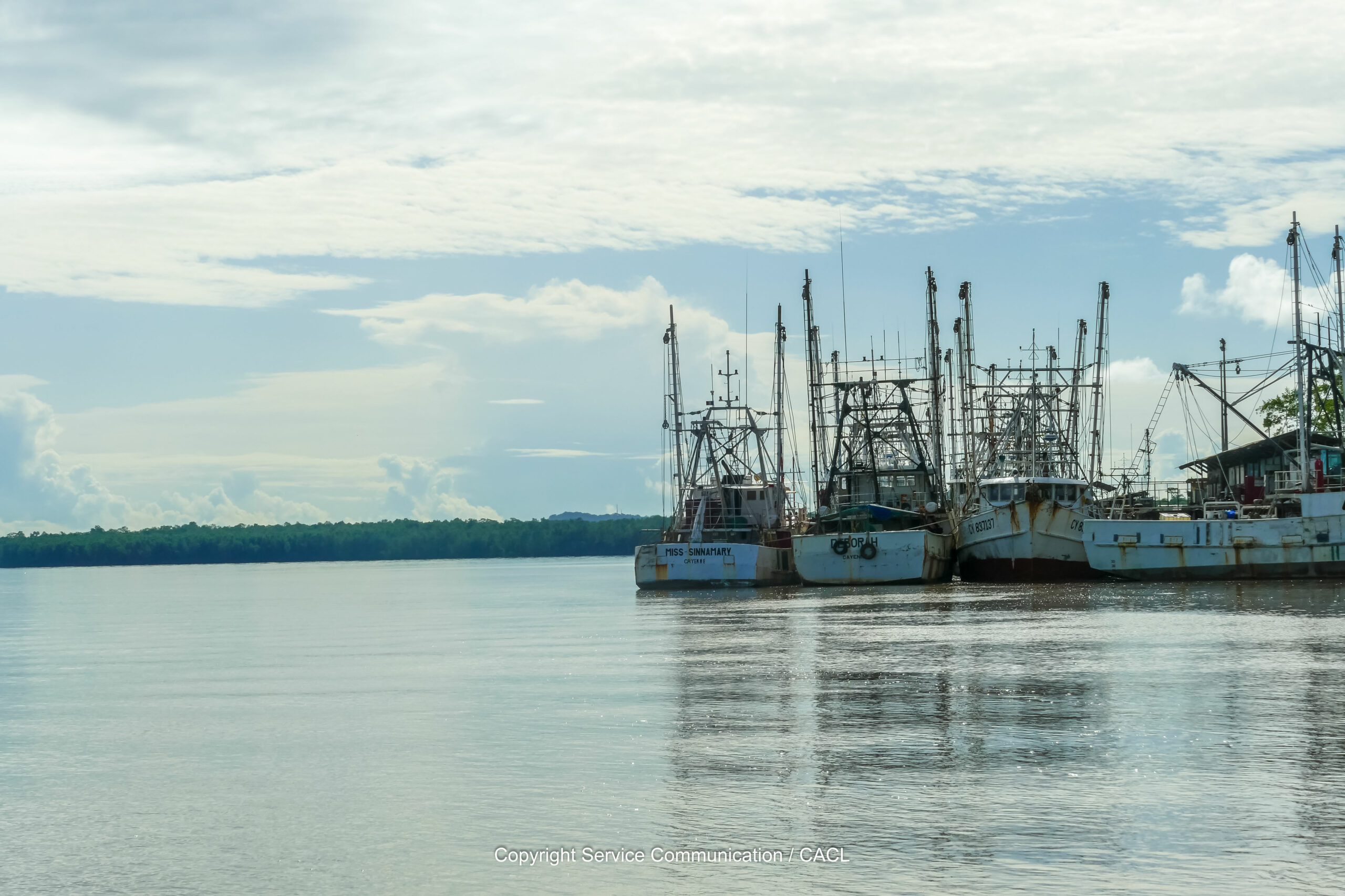 Les bateaux des pêcheurs guyanais sont tous équipés de filets TED, respectueux de la faune marine
