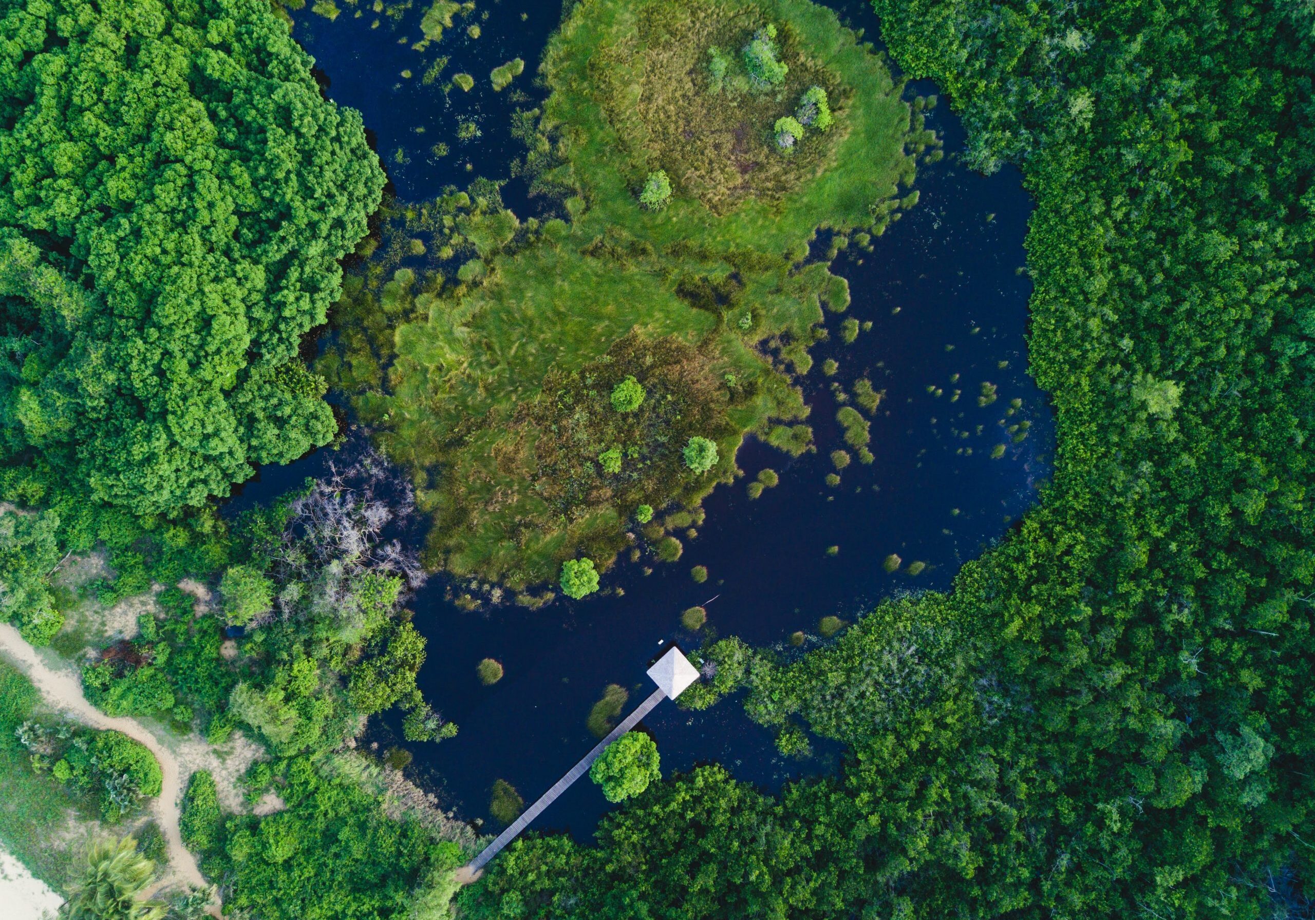 Les Salines de Rémire Montjoly