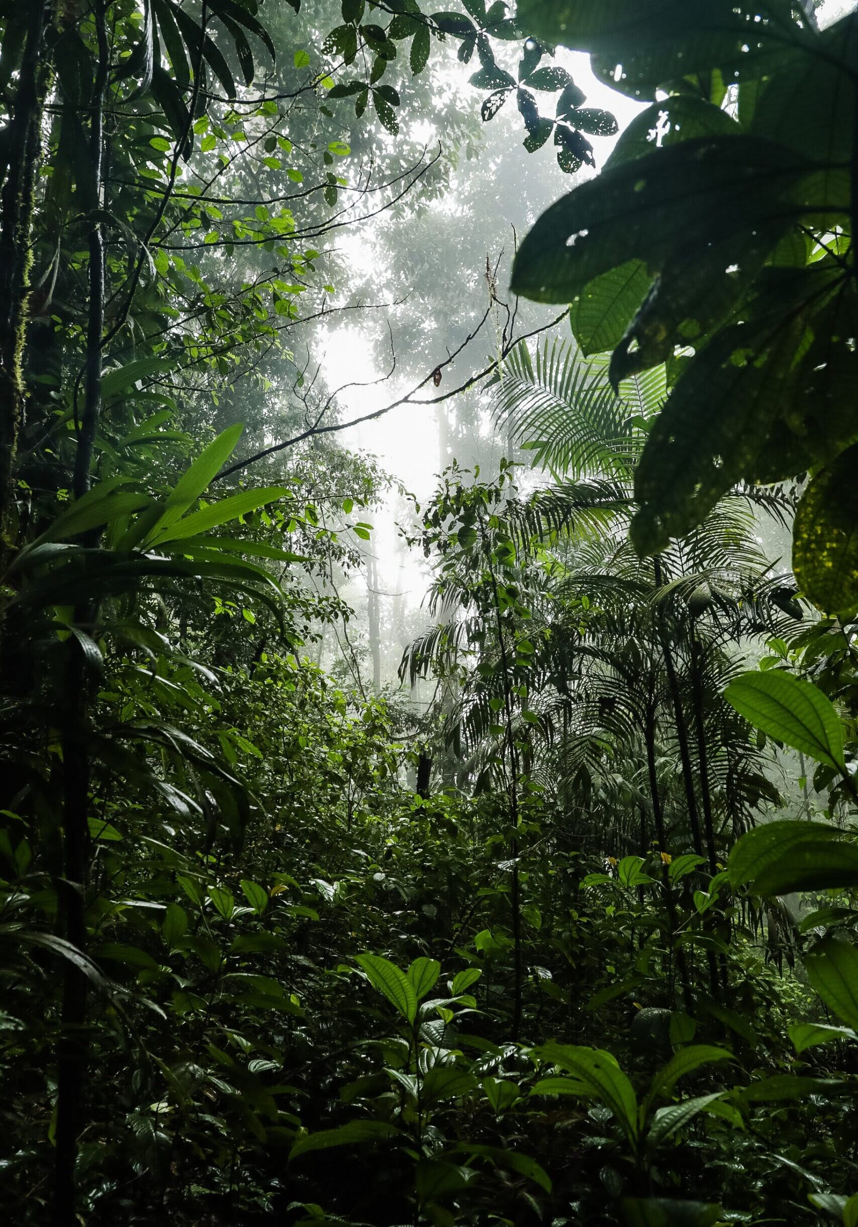 ATOUT FRANCE_GUYANE_WLADIMIRKINNOO-98 ATOUT FRANCE_GUYANE_WLADIMIRKINNOO-98